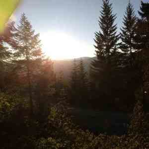 Meet your Posher, Bryson